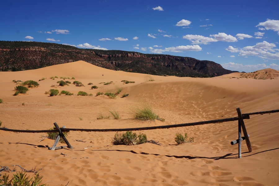 Sand-dunes-6.jpg