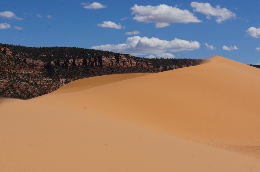 Sand-dunes-1.jpg