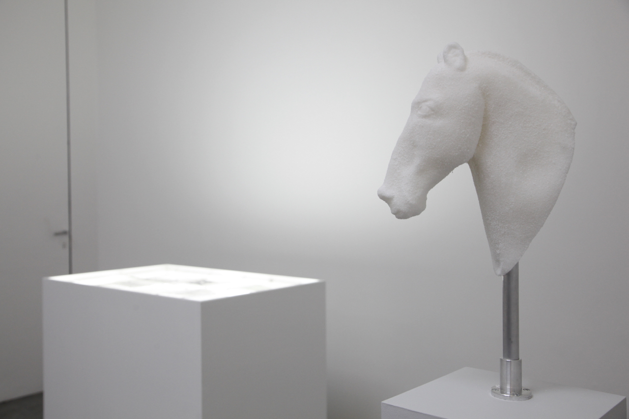 “Caracaballo” deals with the breeding of an “ideal horse” and its social meaning during the 17th and 18th century. Horse keeping was an integral part in court culture because of its representative function. It was supposed to meet the demands of “h