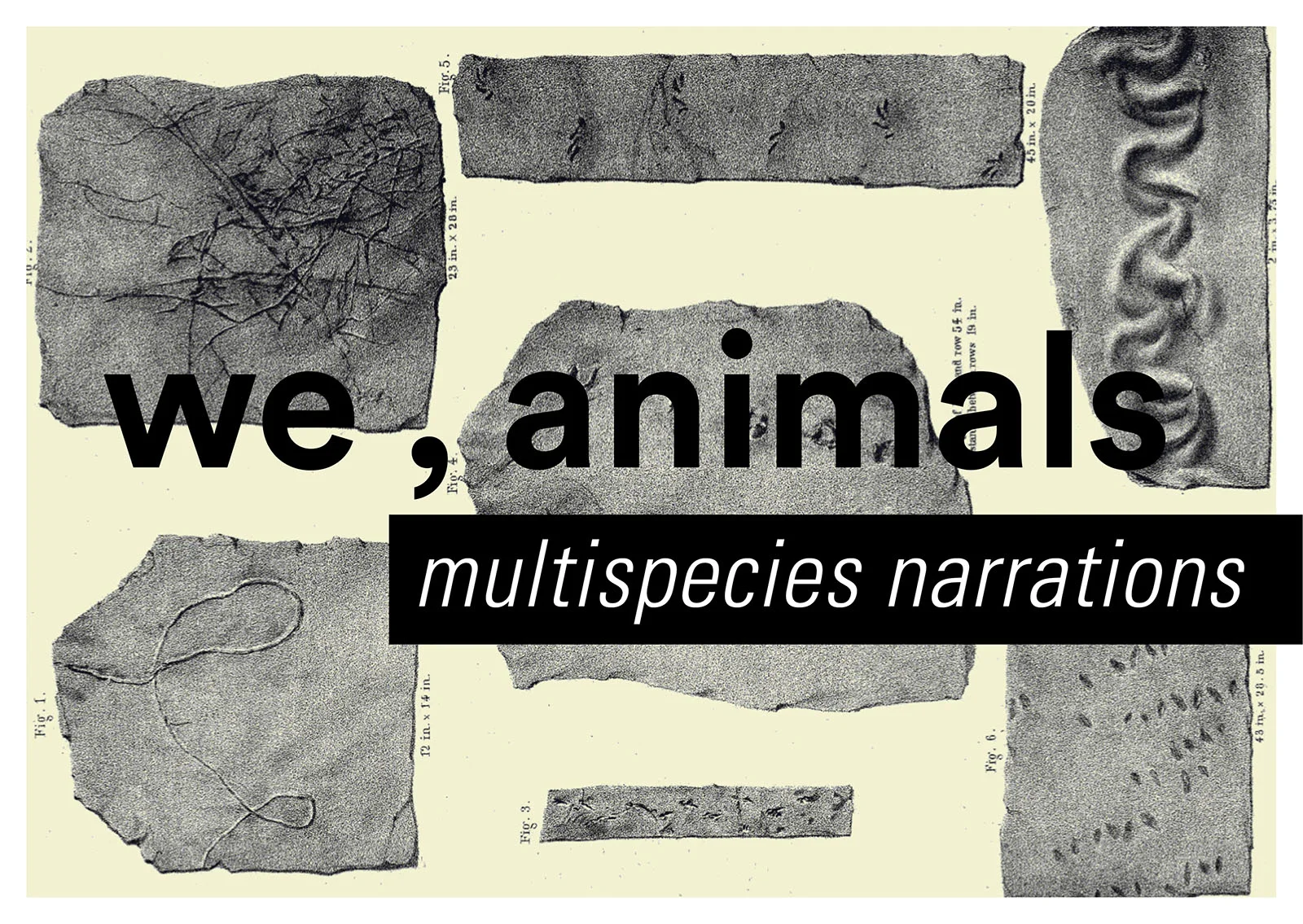 we_animals_multispecies_narrations_small.jpg