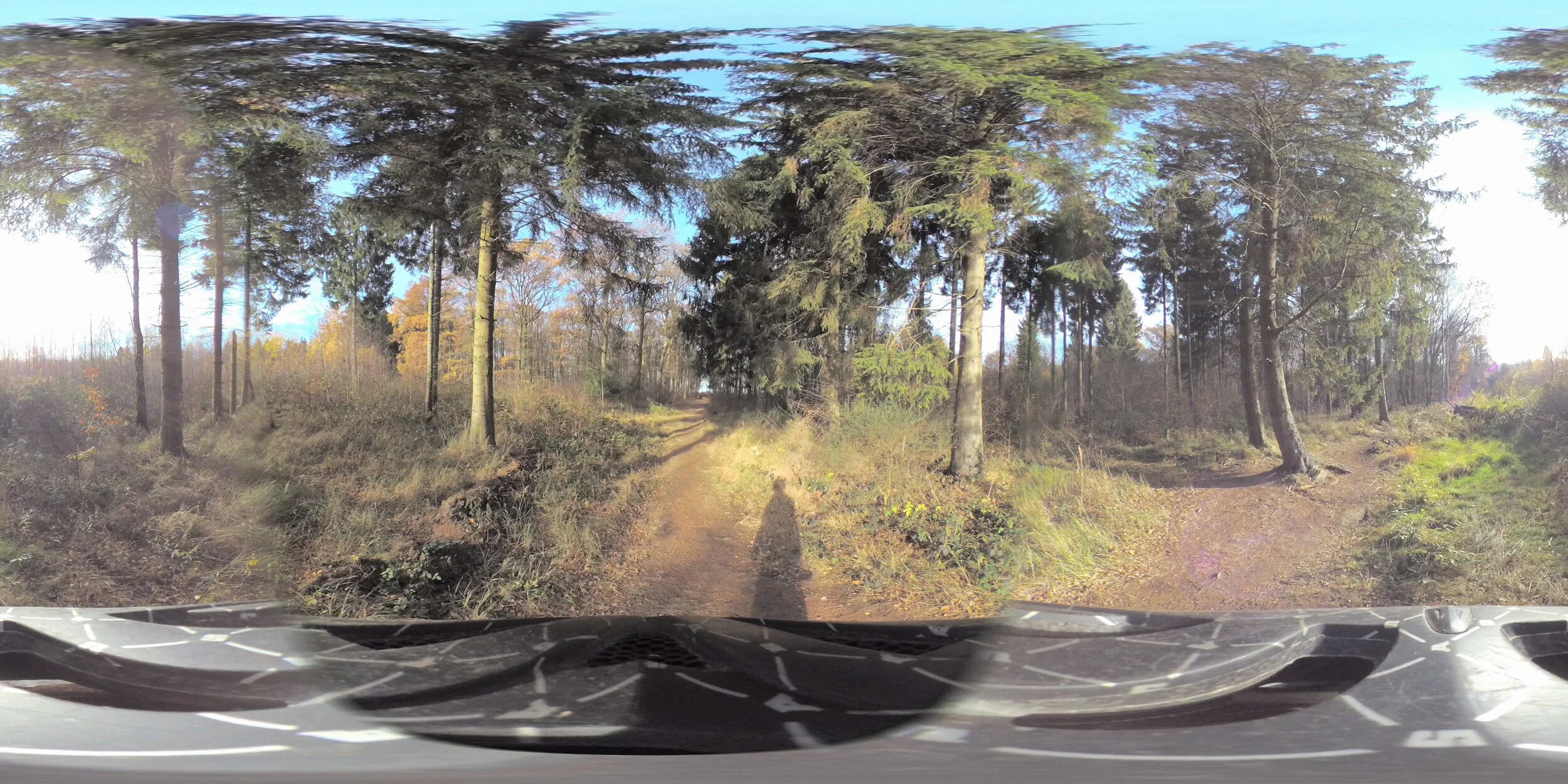 Hambacherforst: 360° Project in memory of Steffen Meyn