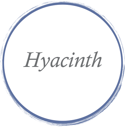 Hyacinth.png