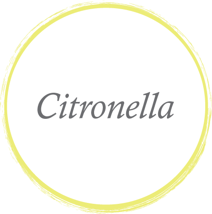 Citronella.png