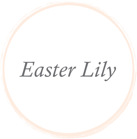 EasterLily.png