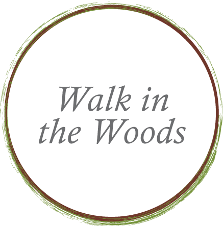 Walk-in-the-Woods.png