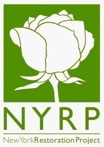   NYRP  