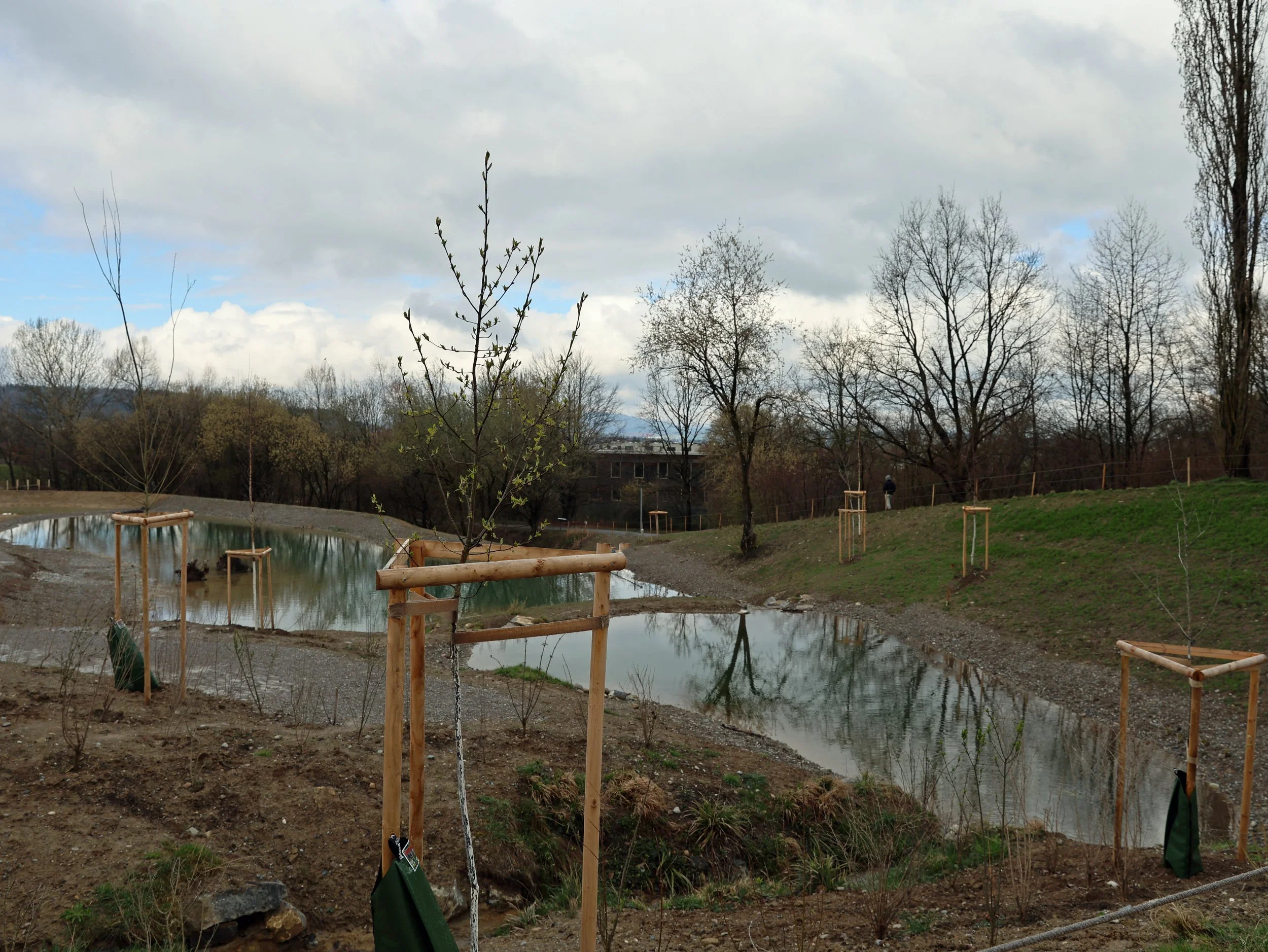 Zoologieweiher Irchelpark Zürich