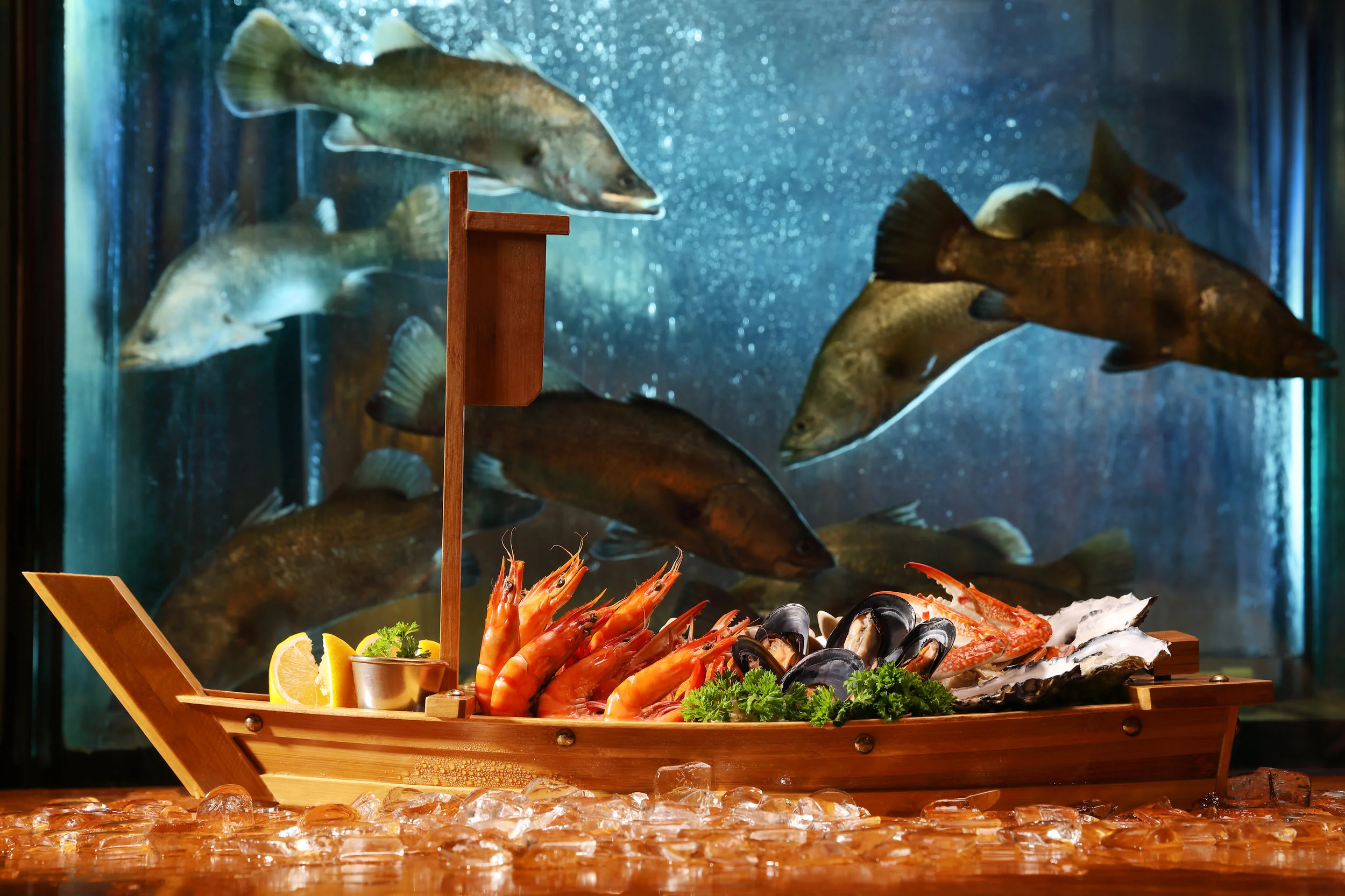 EOS 5D Mark IV_0964.jpg