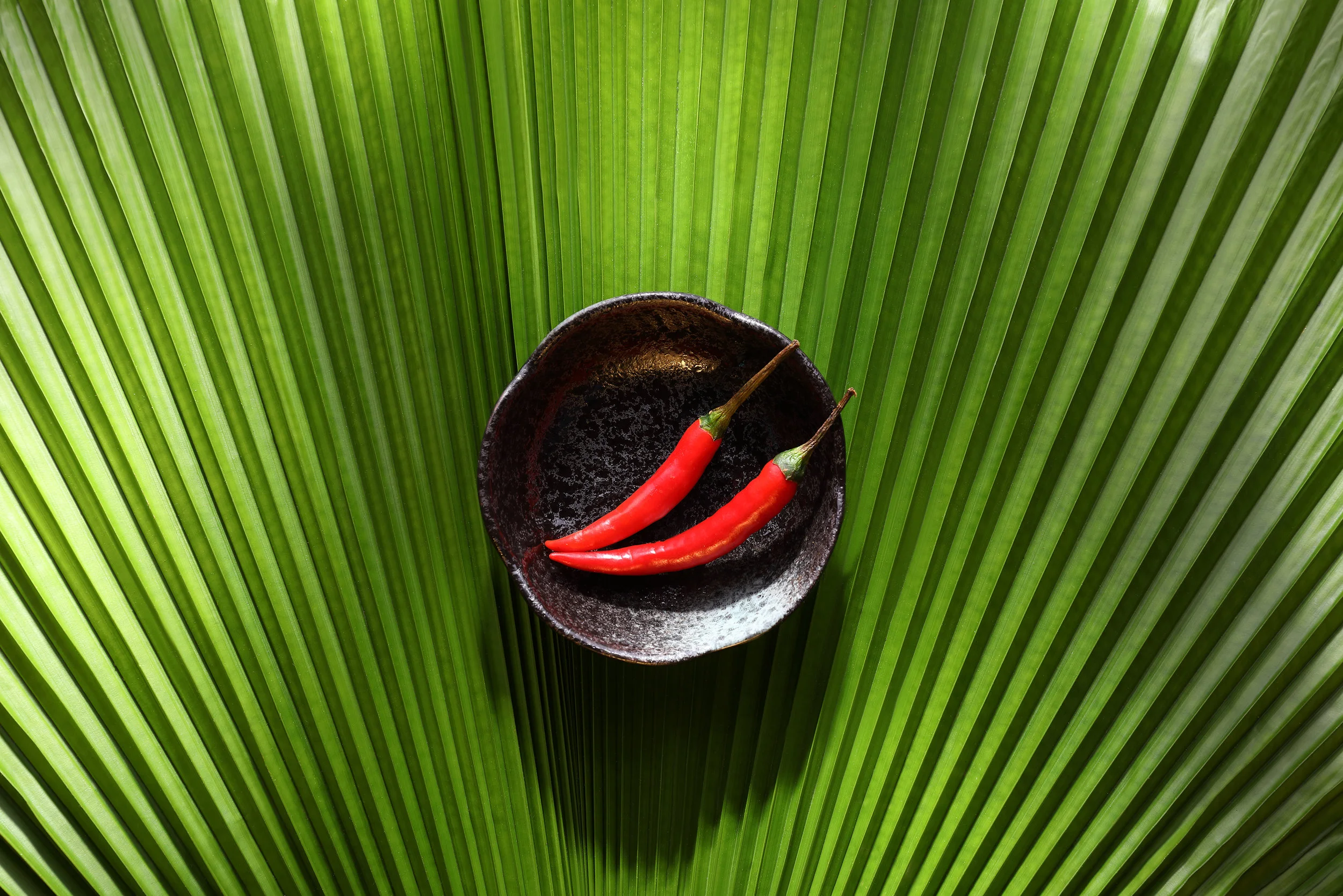 EOS 5D Mark IV_0221.jpg