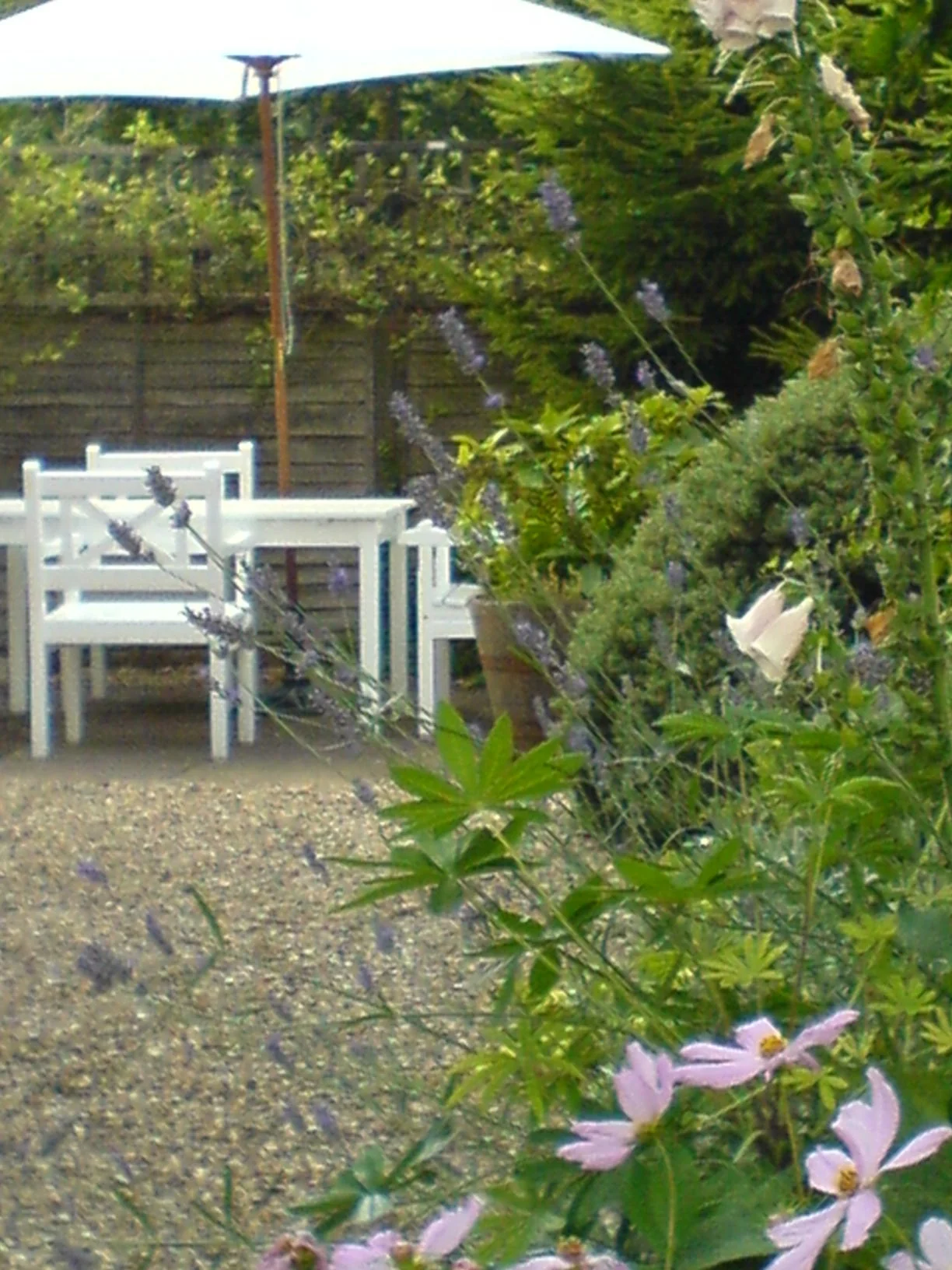 DSC00015.jpg