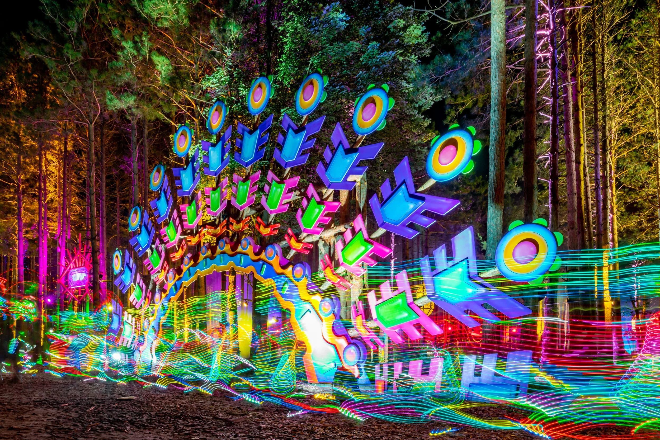 Electric Forest
