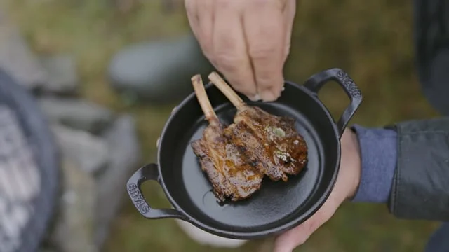 Land Rover - Hibernot - Land