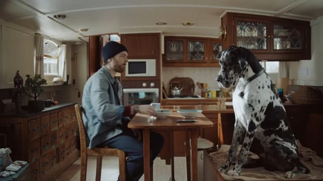 Pinterest 'Bedfellows'