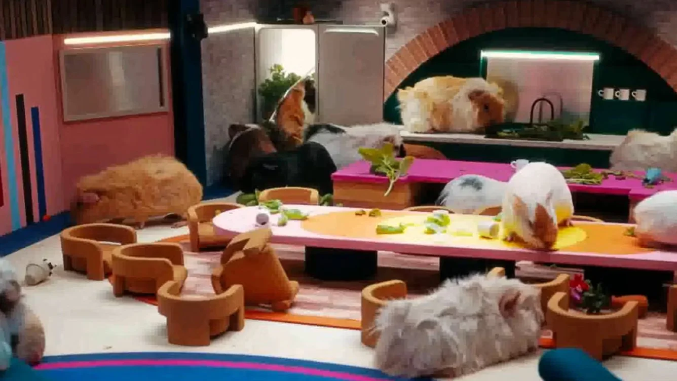 Big Brother 2024   Guinea pigs promo