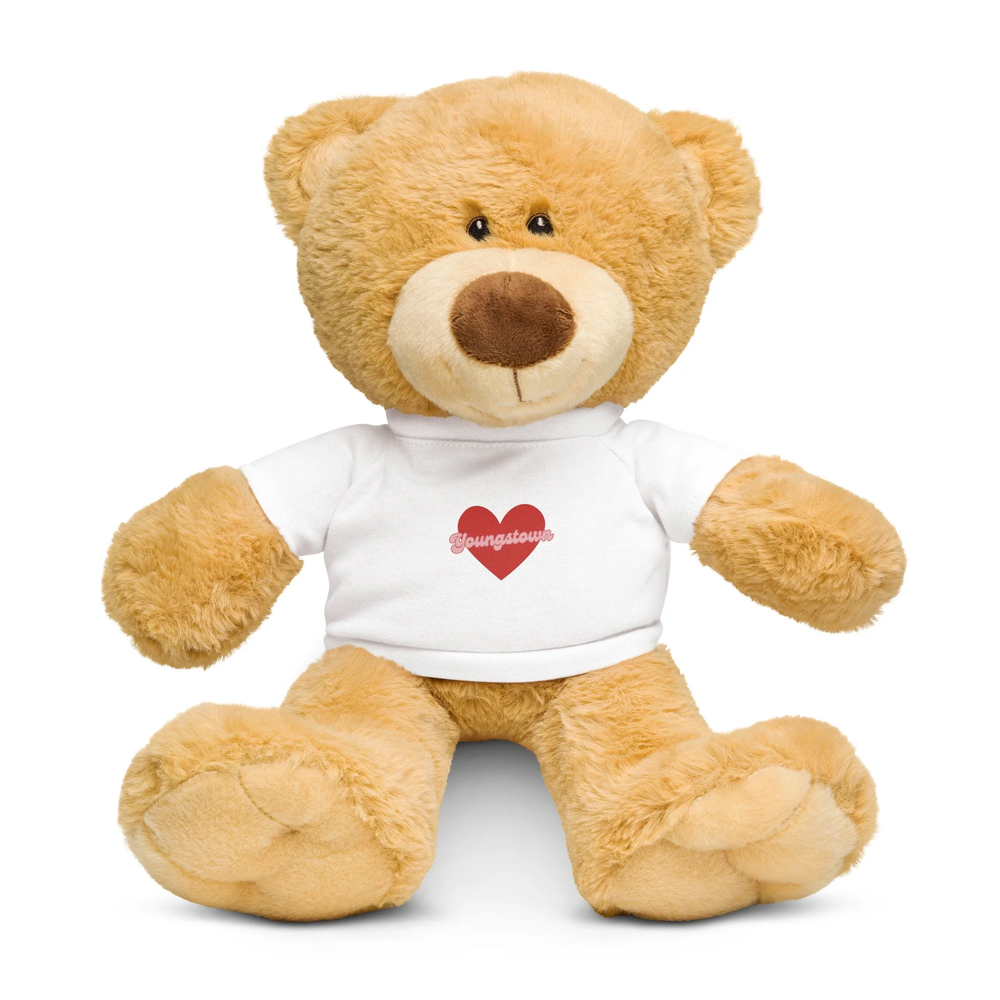 teddy-bear-with-a-t-shirt-white-front-678d234ca0274.jpg
