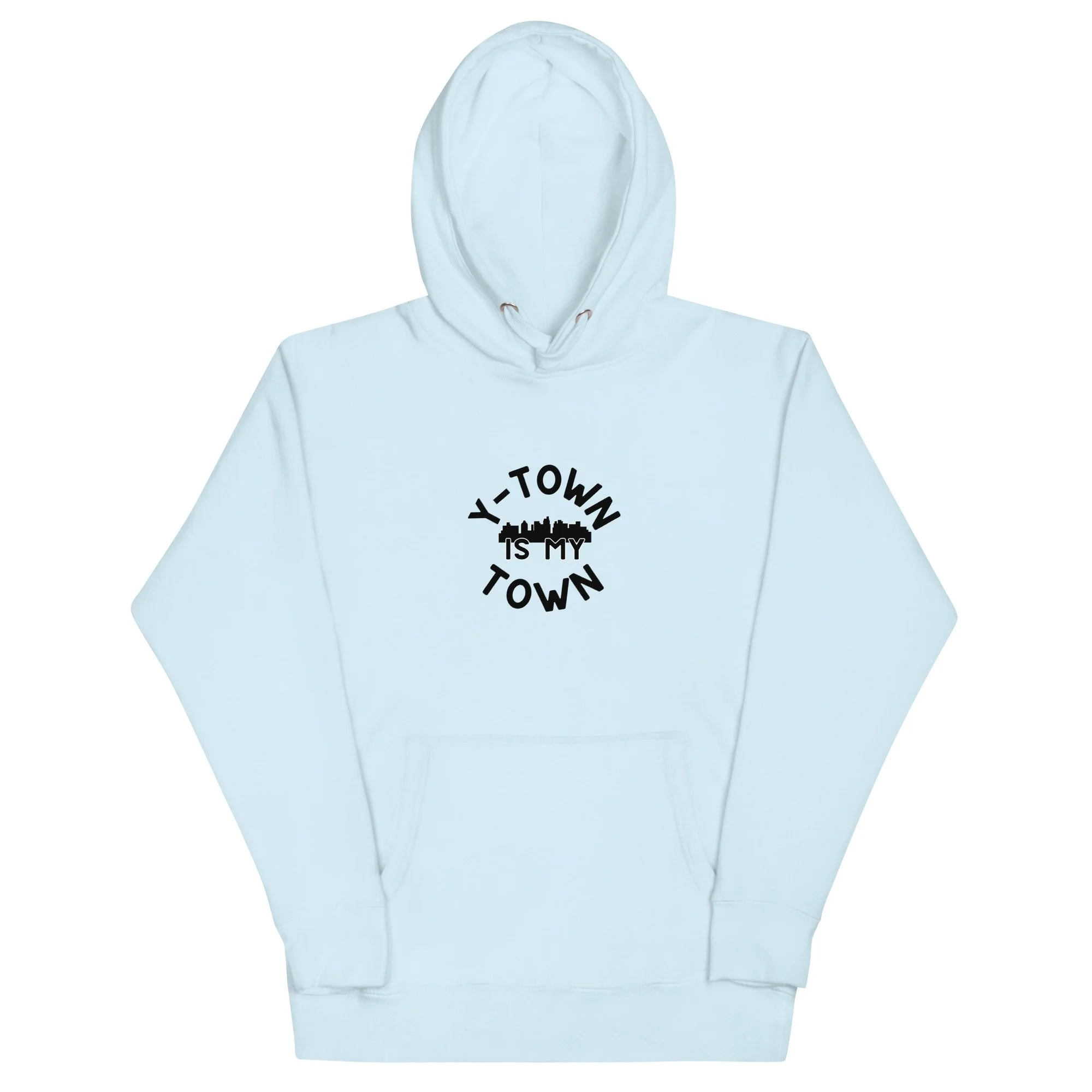 unisex-premium-hoodie-sky-blue-front-67c6098c8e7be.jpg