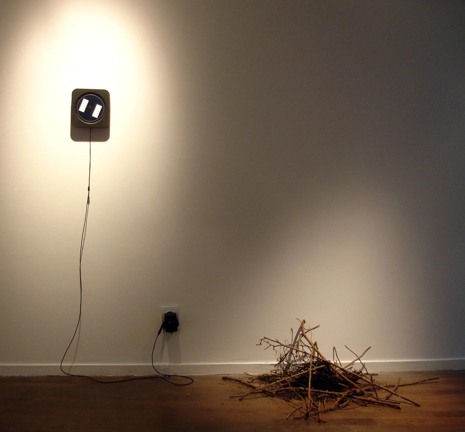 Ses épines avaient peur du dehors, 2008