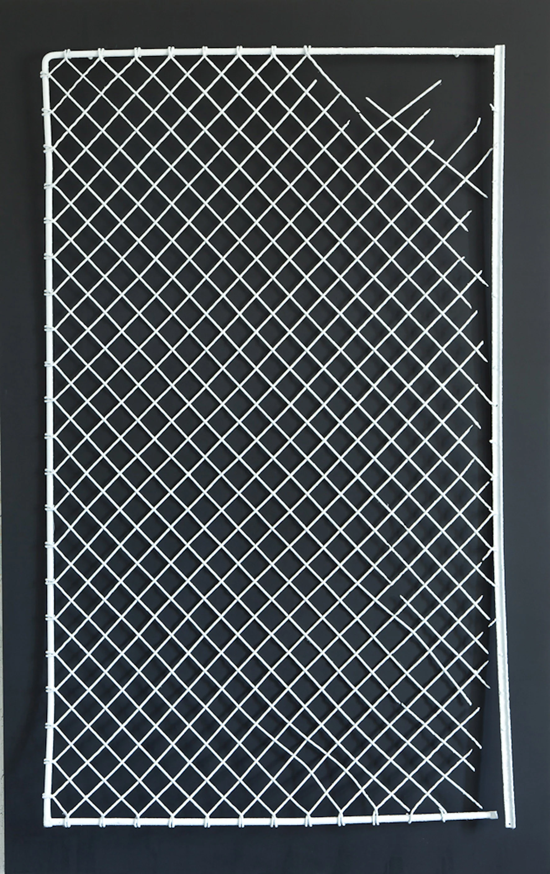 The physical qualities of the background I, 2013