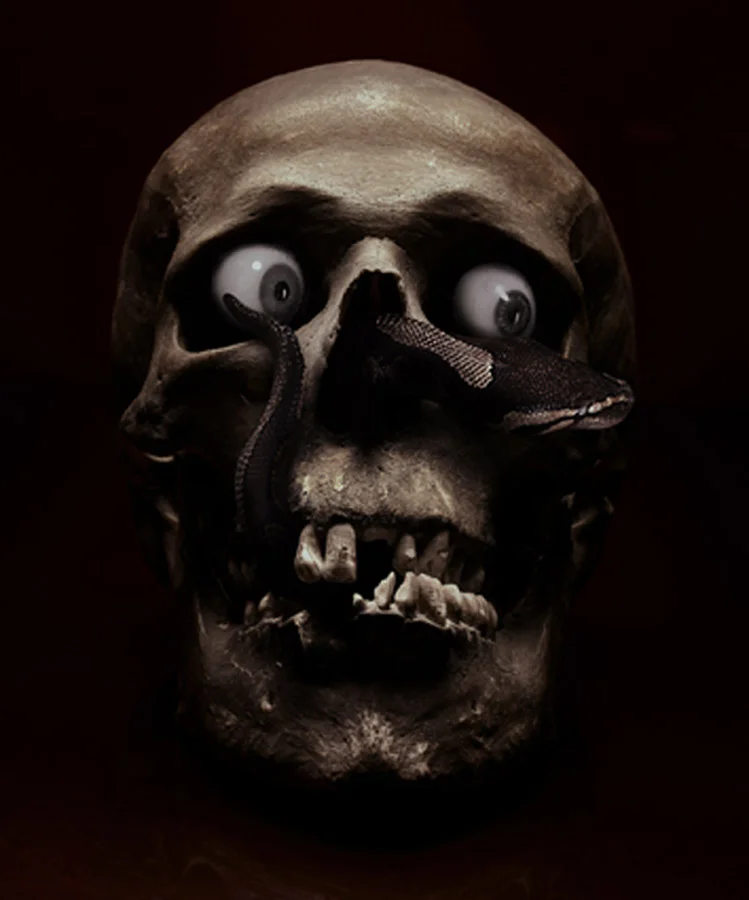 Sabine PIGALLE. HOMO OPHIOPHOBIENS , 2008. Photographie Tirage Lambda, contrecollage sur aluminium. 50 x 60 cm. Edition of 8 + 1 AP. © Sabine Pigalle