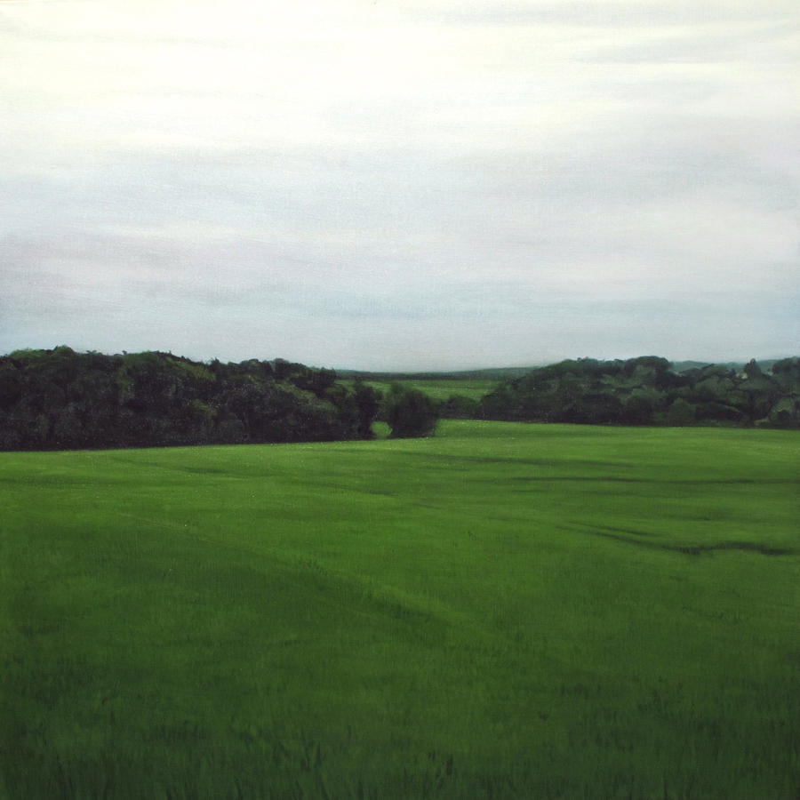   THOMAS LEVY-LASNE   Crépuscule 05 \ Twilight 05, 2012. Huile sur toile \ Oil on canvas. 97 x 97 cm  