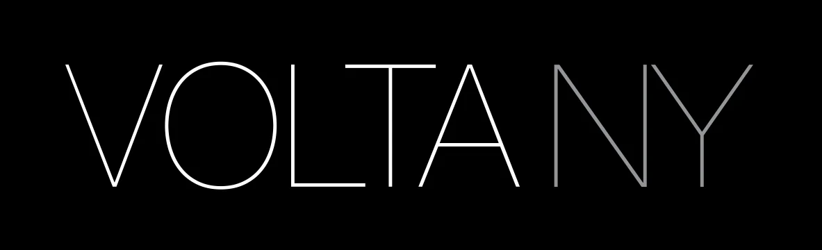logo volta ny.jpg