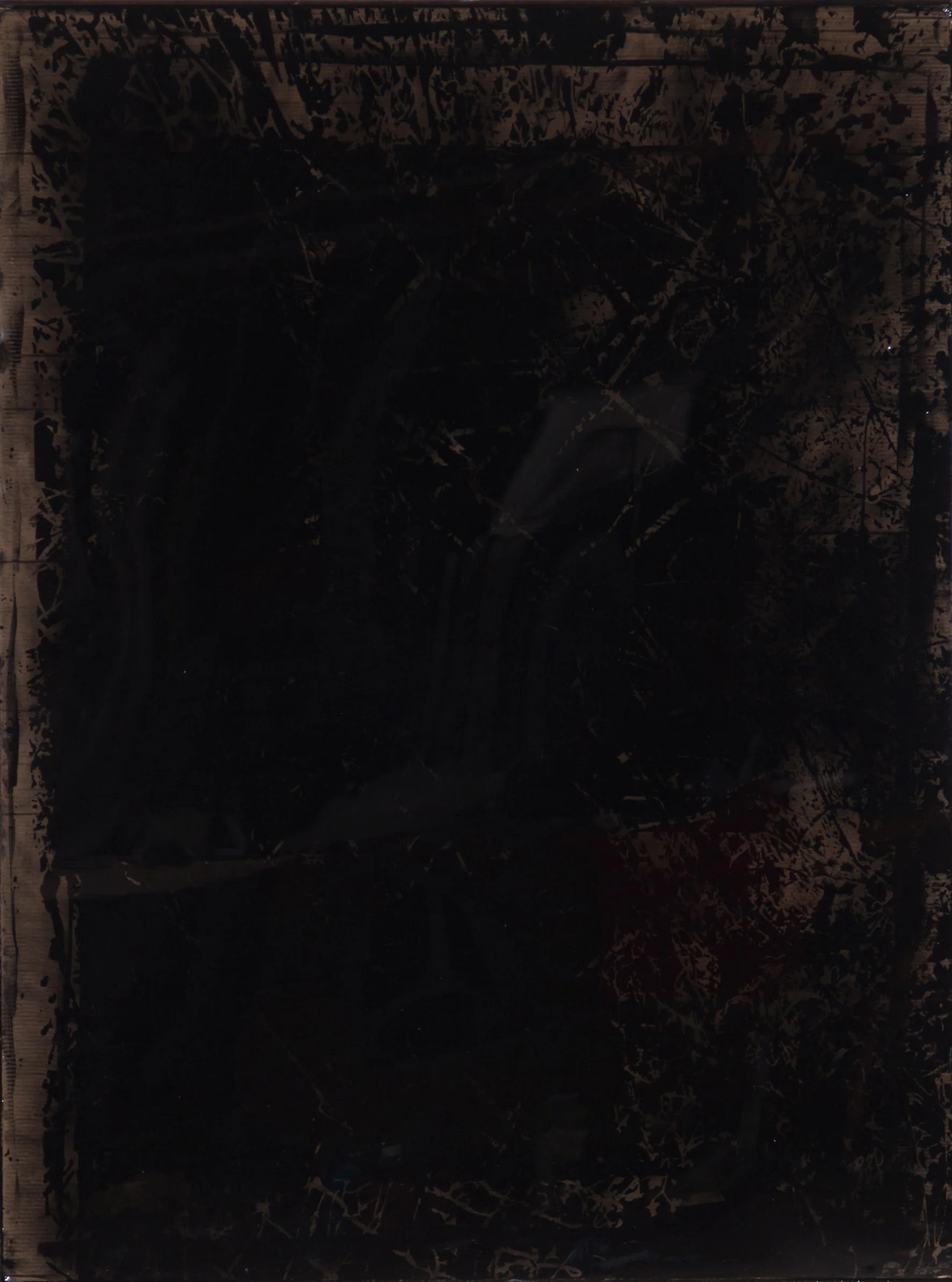 Black beauty II, 2015