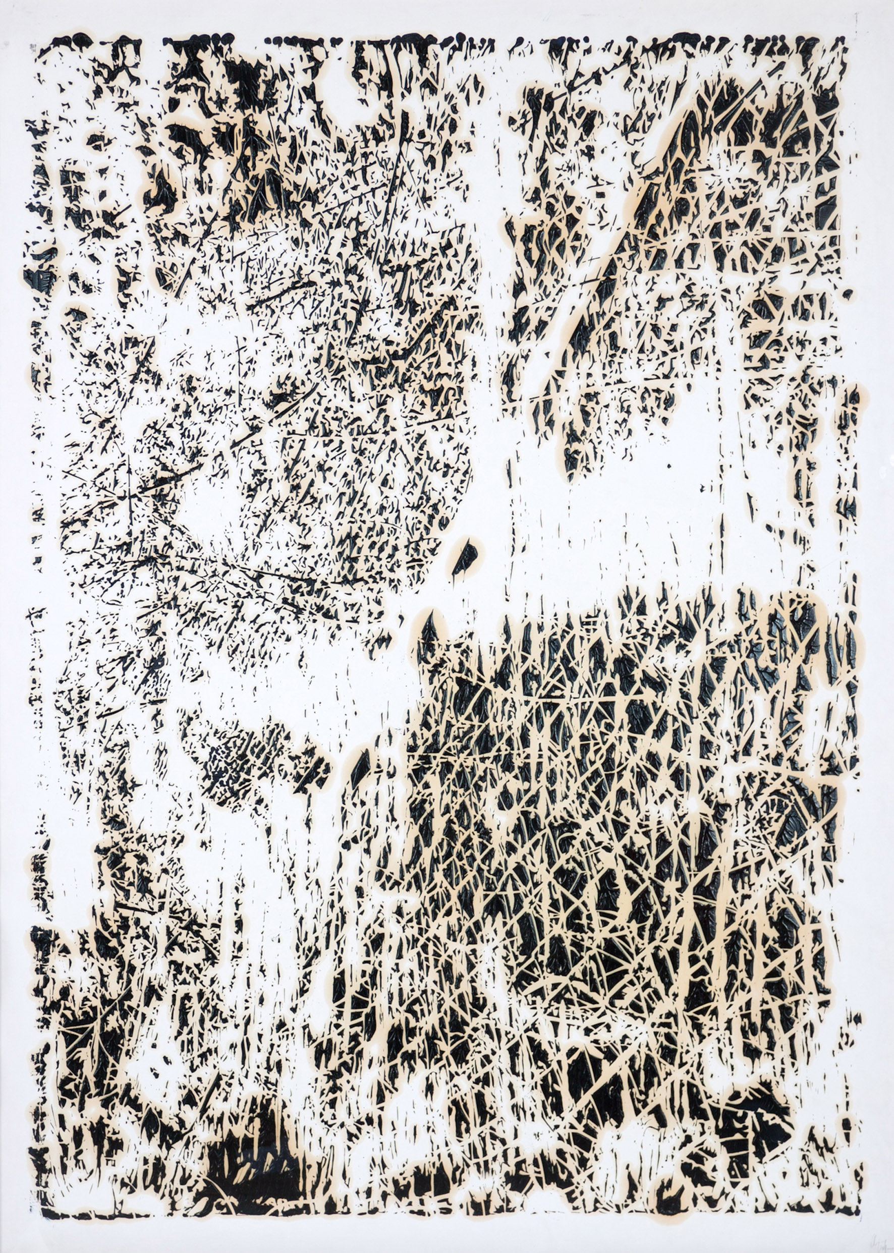 The other side of the rainbow II, 2014