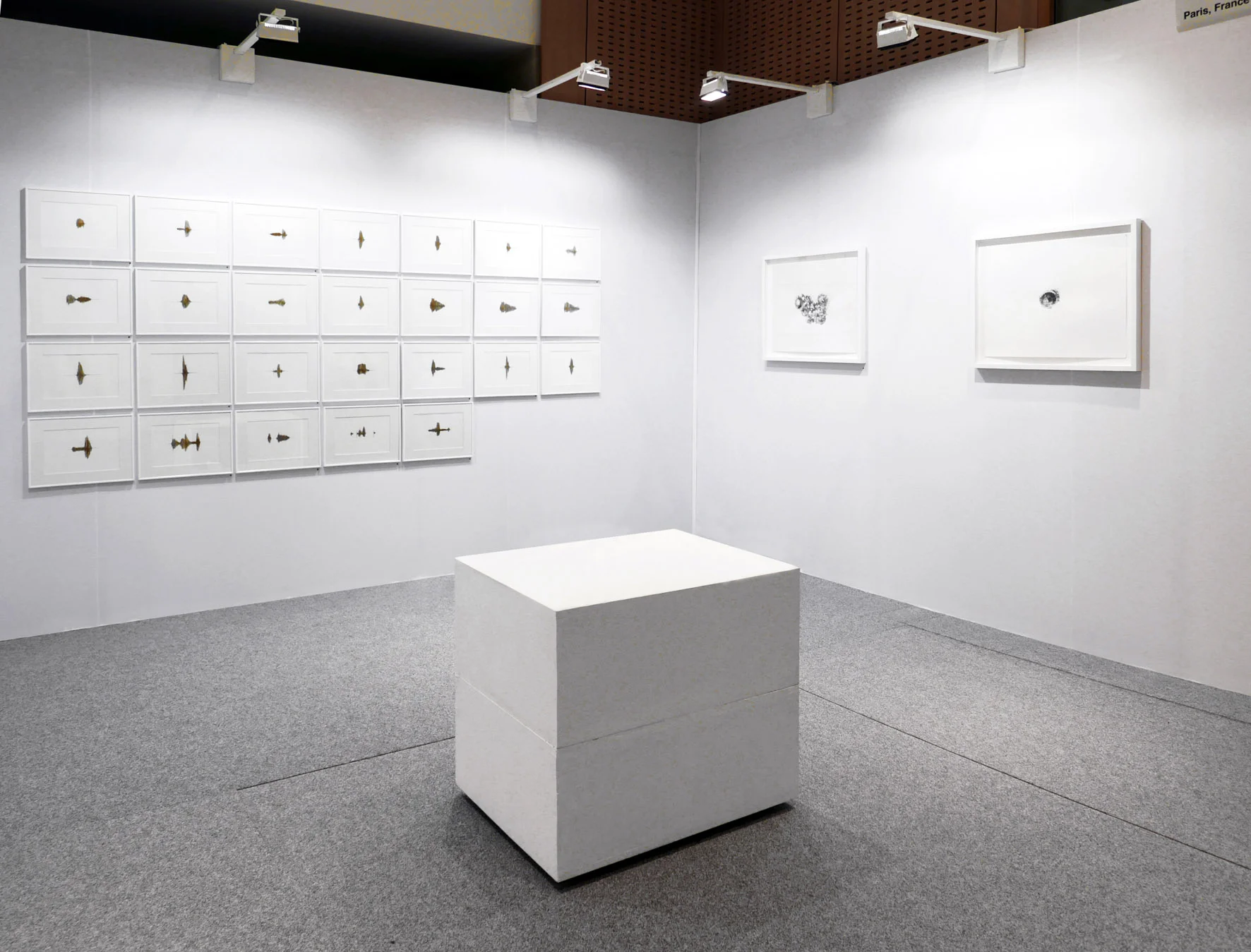 Drawing Now-2015-1.jpg