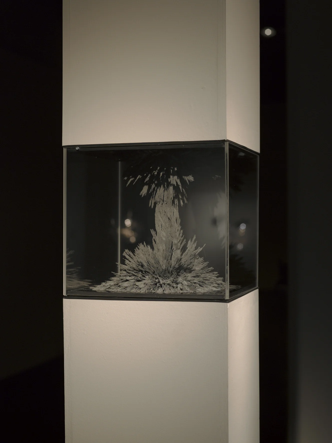 Maquette pour colosse, 2011