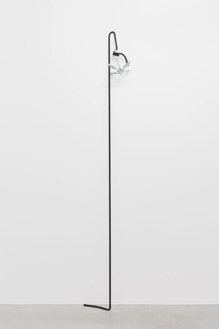 Rélongation, 2014