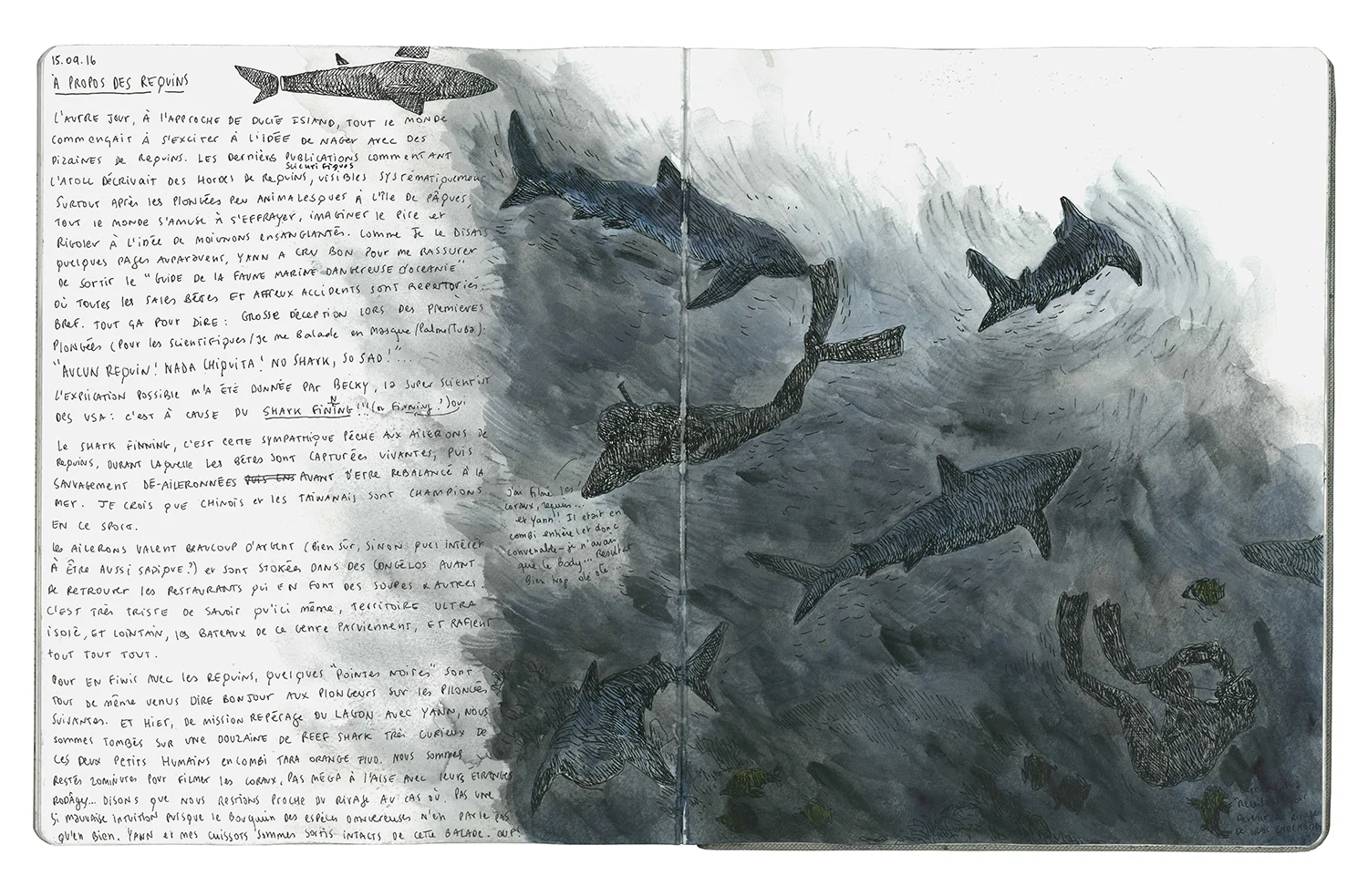 Carnets Coralliens, 2017