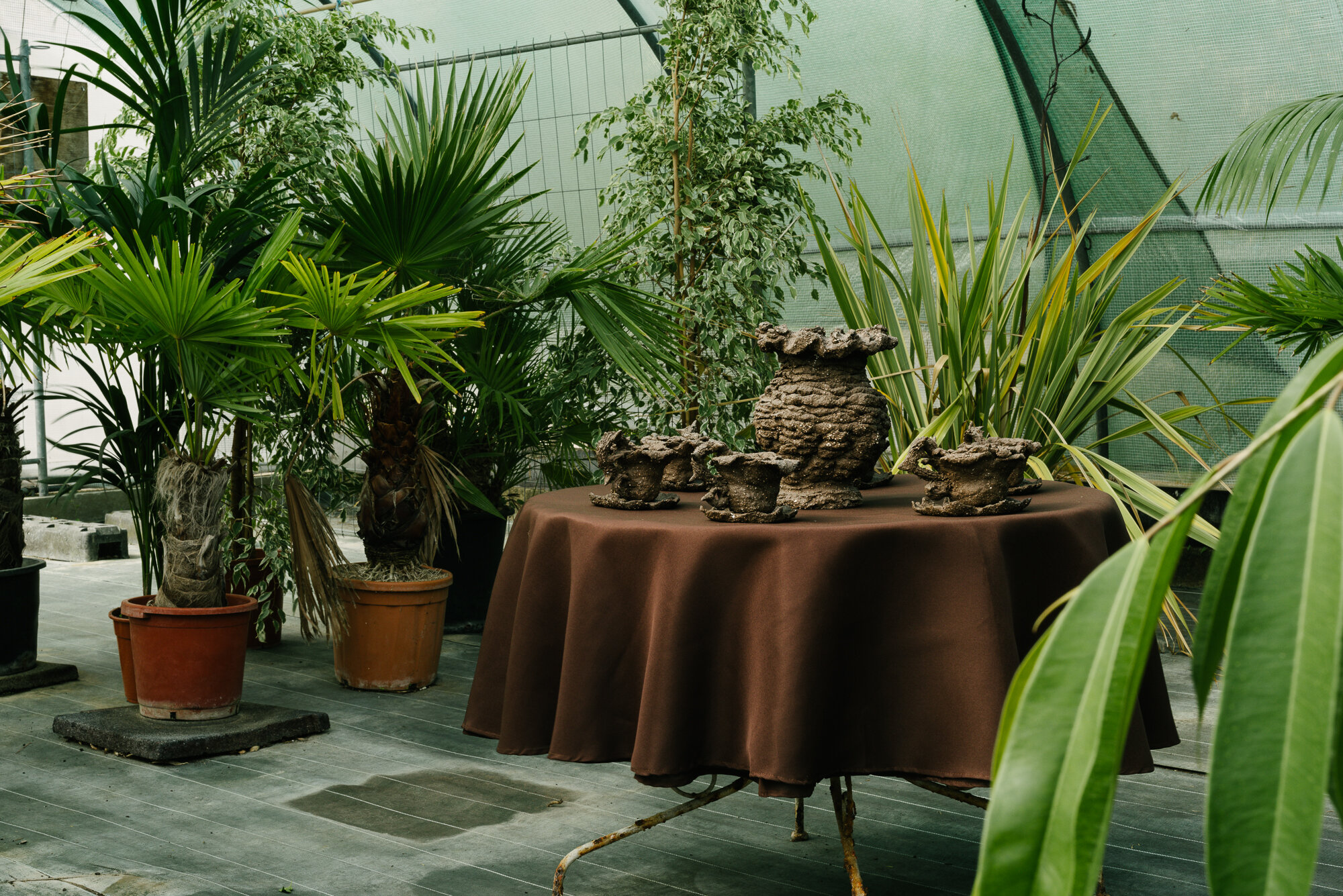 Roses et Secrets, Centre horticole de la ville de Courbevoie, 2020