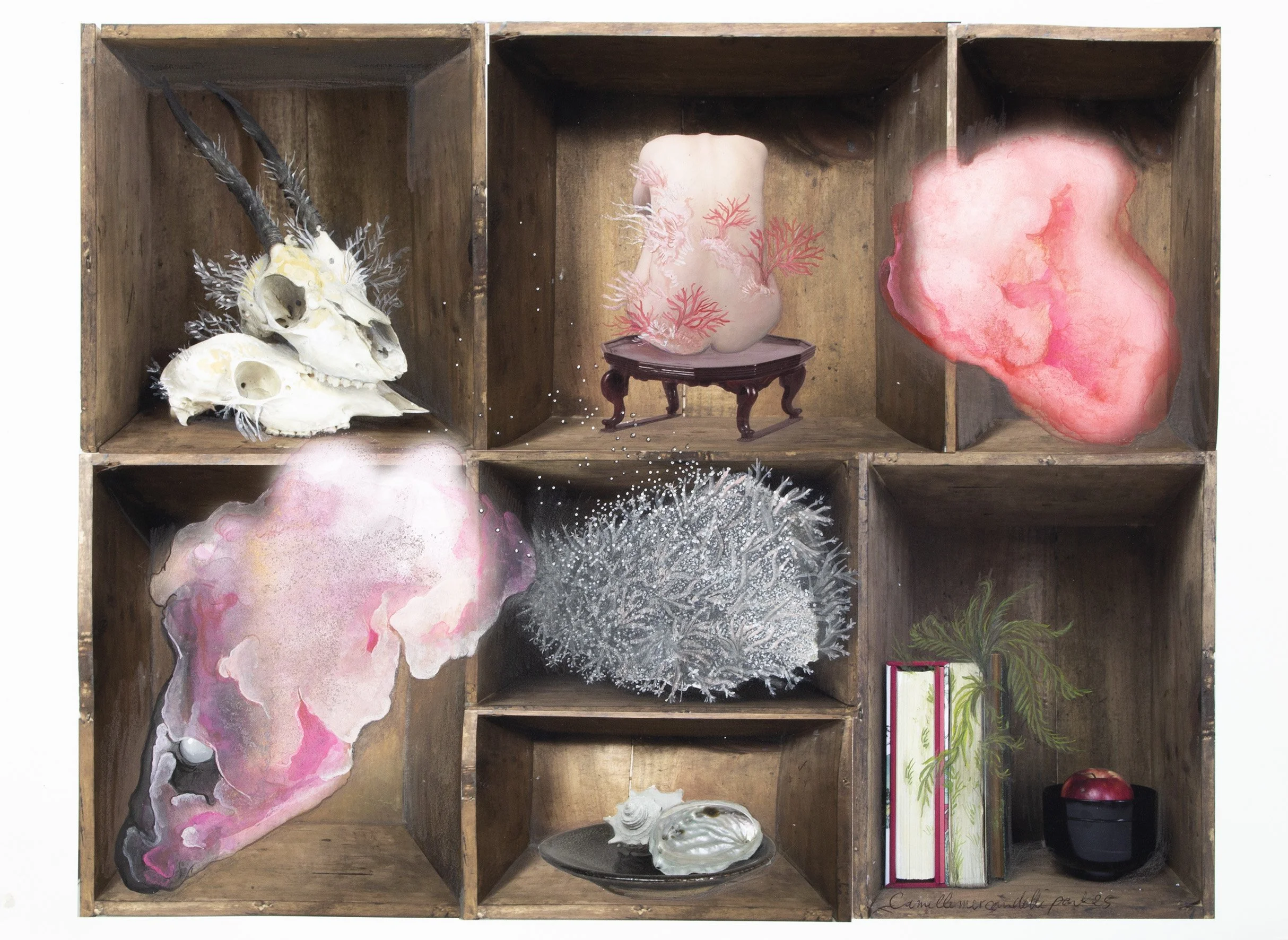 CAMILLE MERCANDELLI-PARK