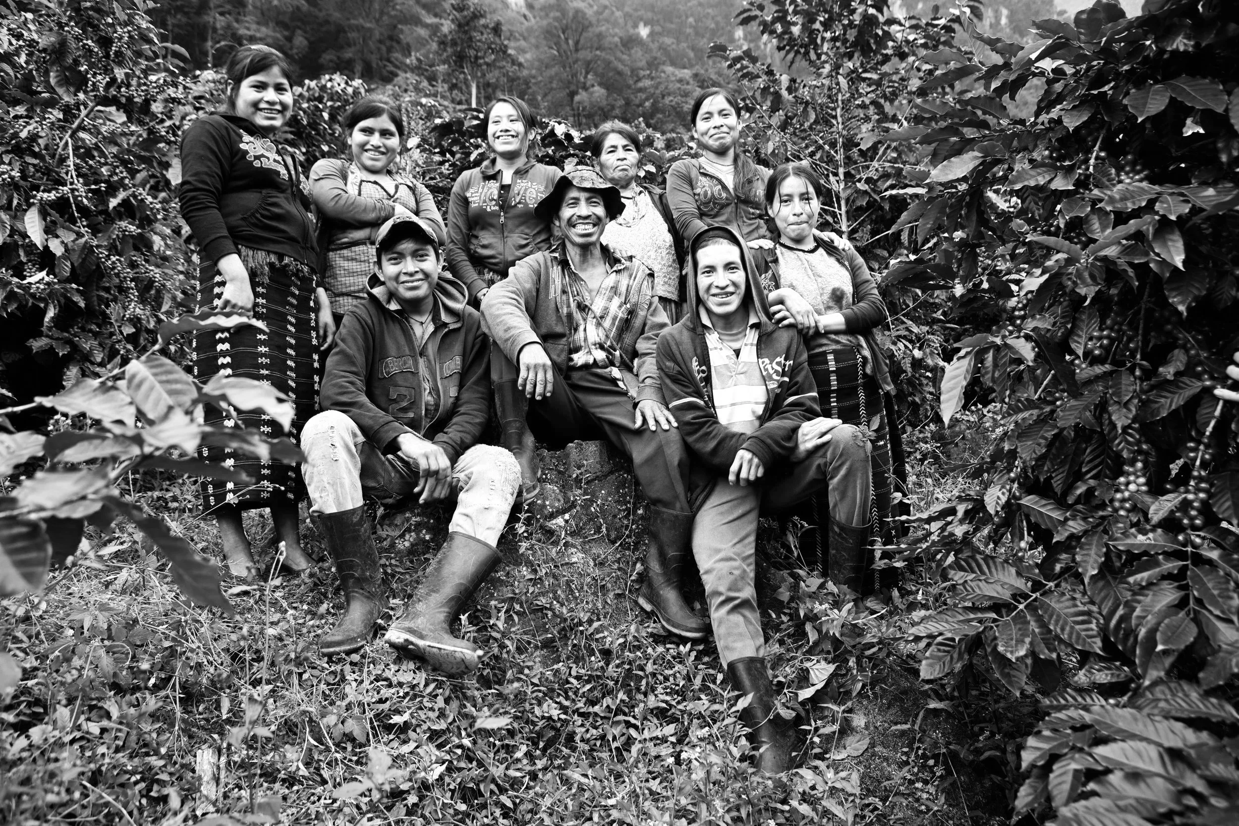 _Q6A1981.jpg