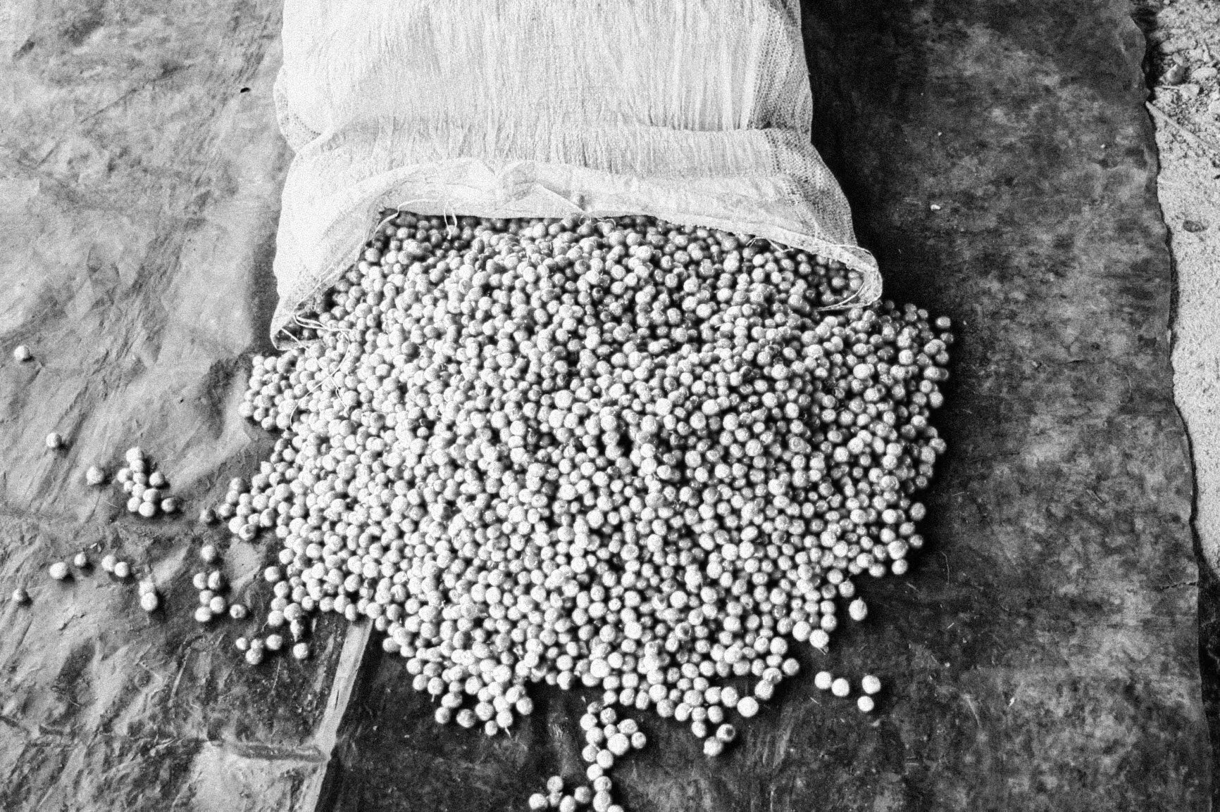 Muthuthuini-2.jpg