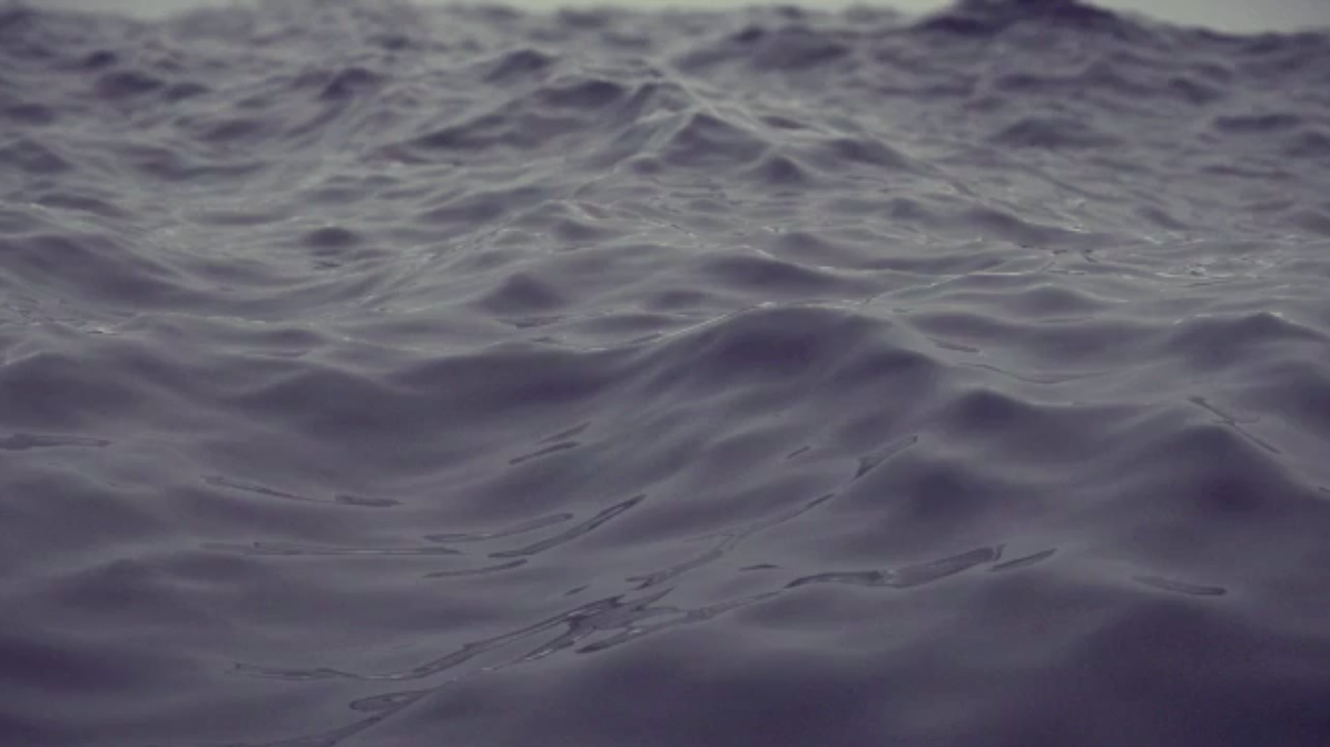 Notre espérance dans la tempête (Romains 8.18-39)