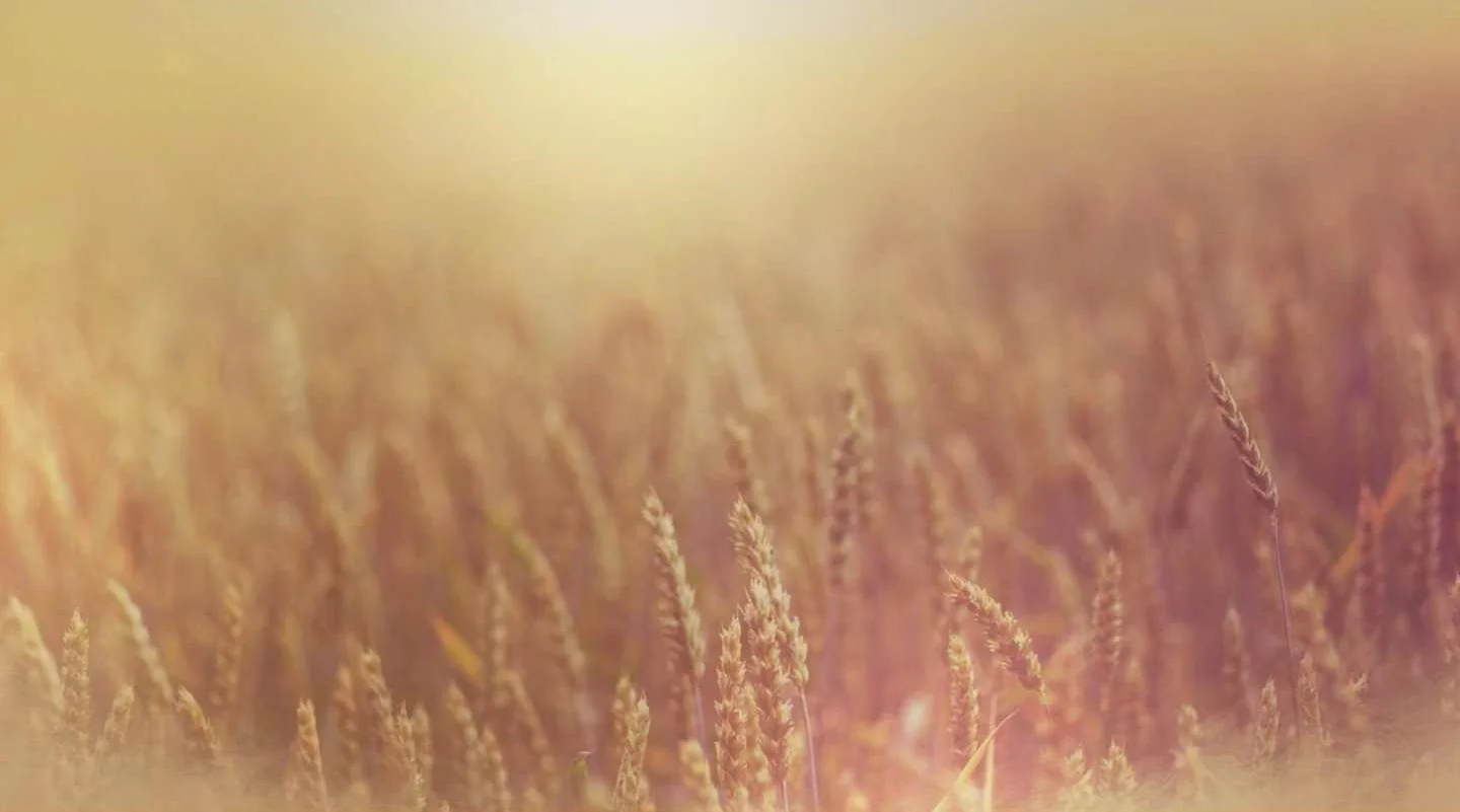 Au bon endroit, au bon moment (Jean 4.27-42)