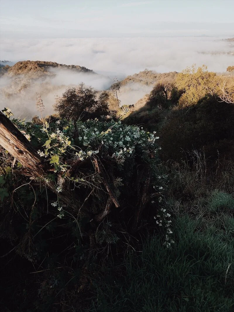 All The Things That Have Come Before You