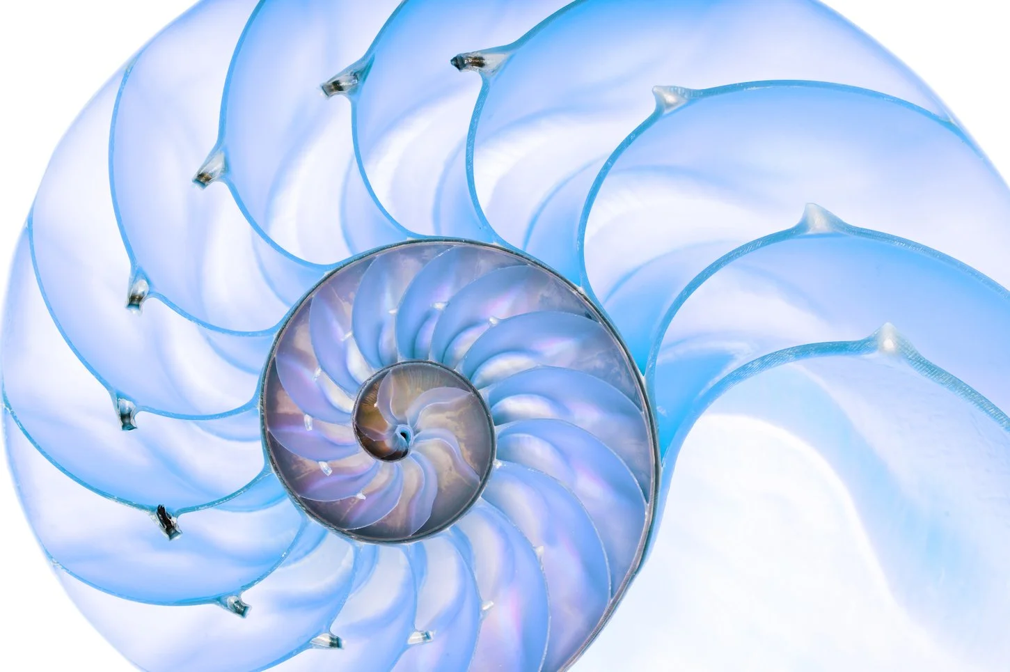 Synthesis, Unity and the Logoic Experiment