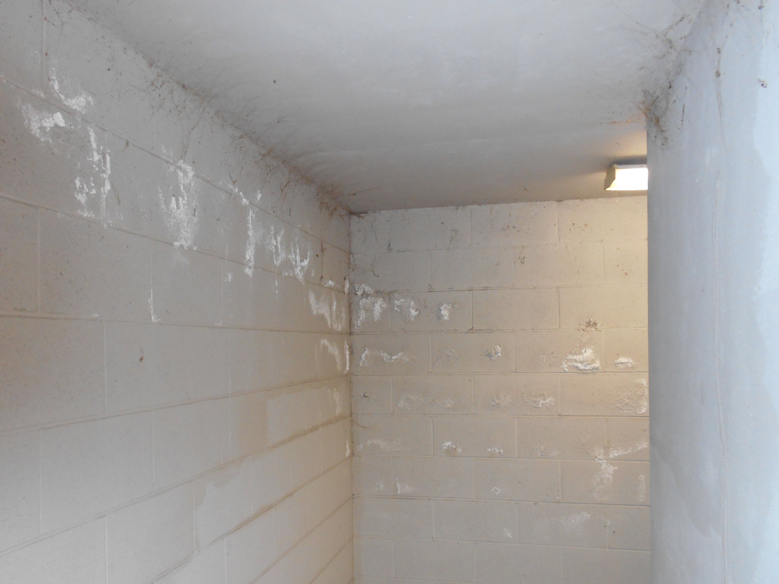 parkview tower mold and roof leaks 1.jpg