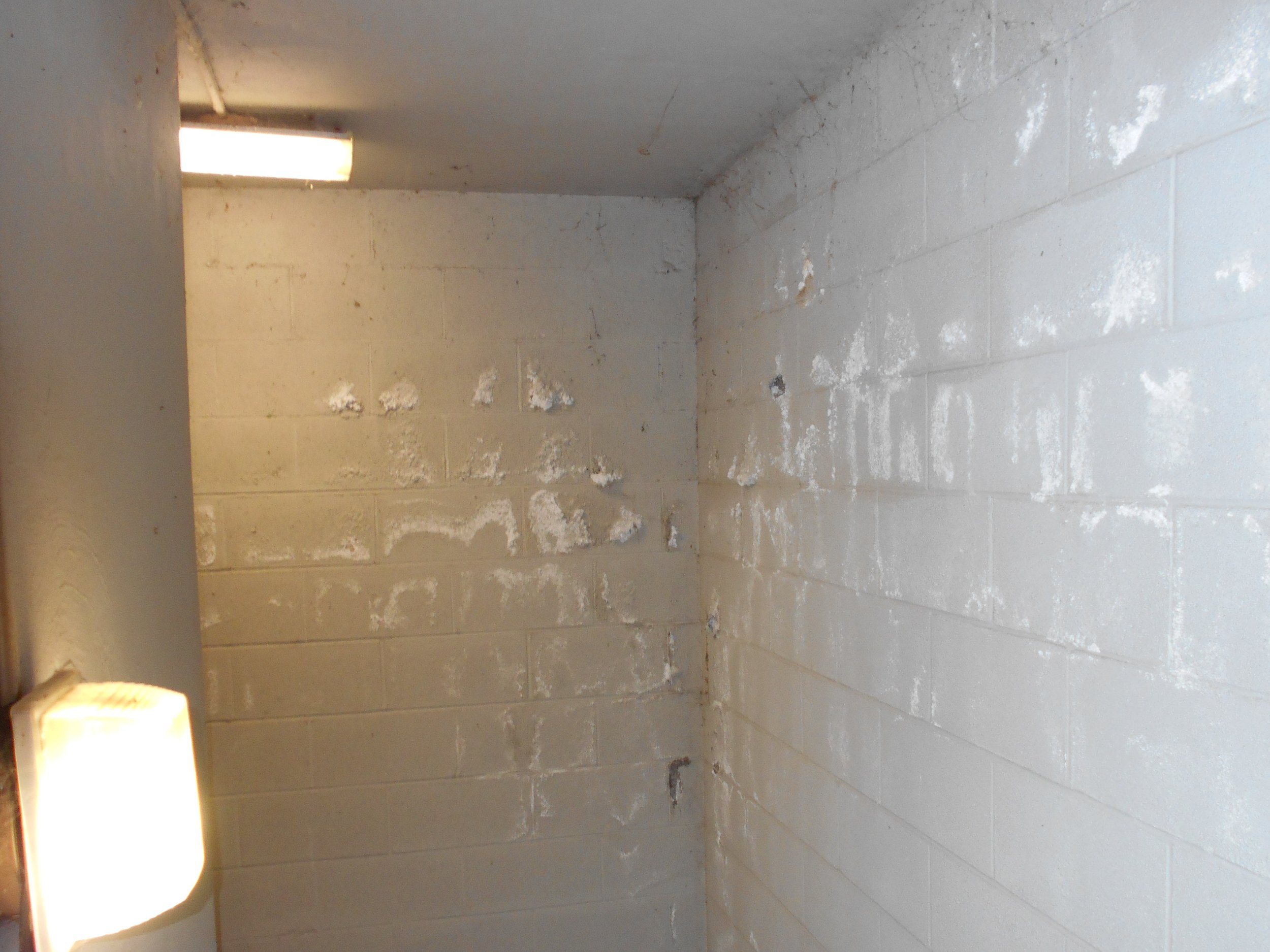 parkview tower mold and roof leaks 3.jpg