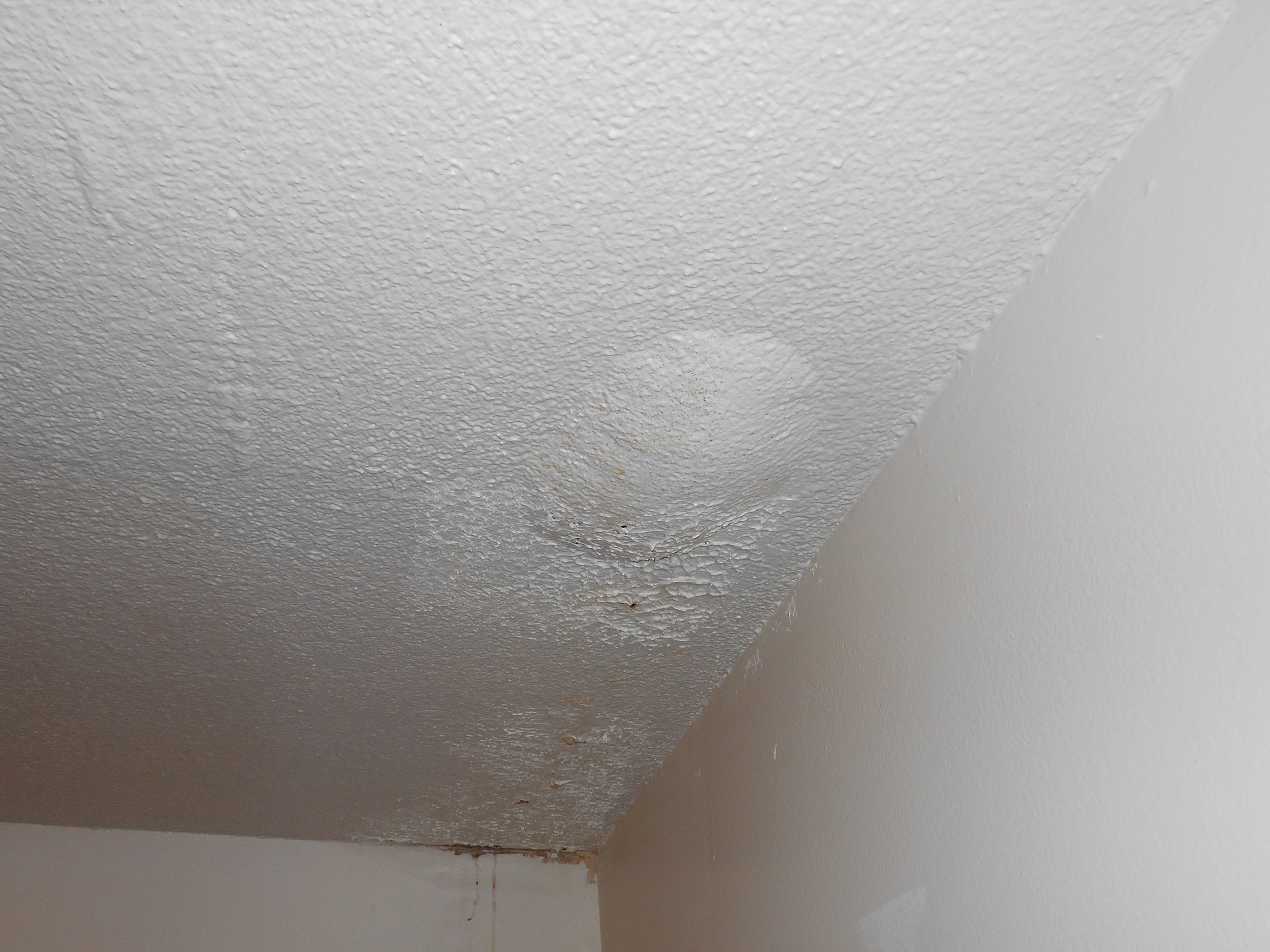 parkview tower mold and roof leaks 4.jpg