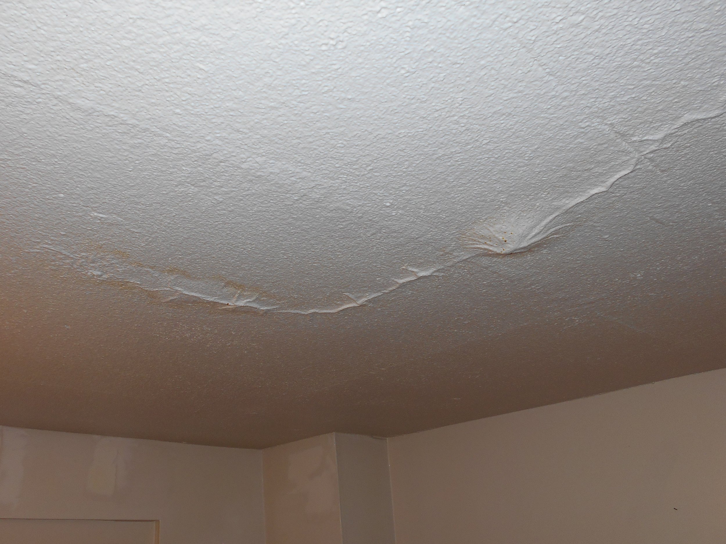 parkview tower mold and roof leaks 5.jpg