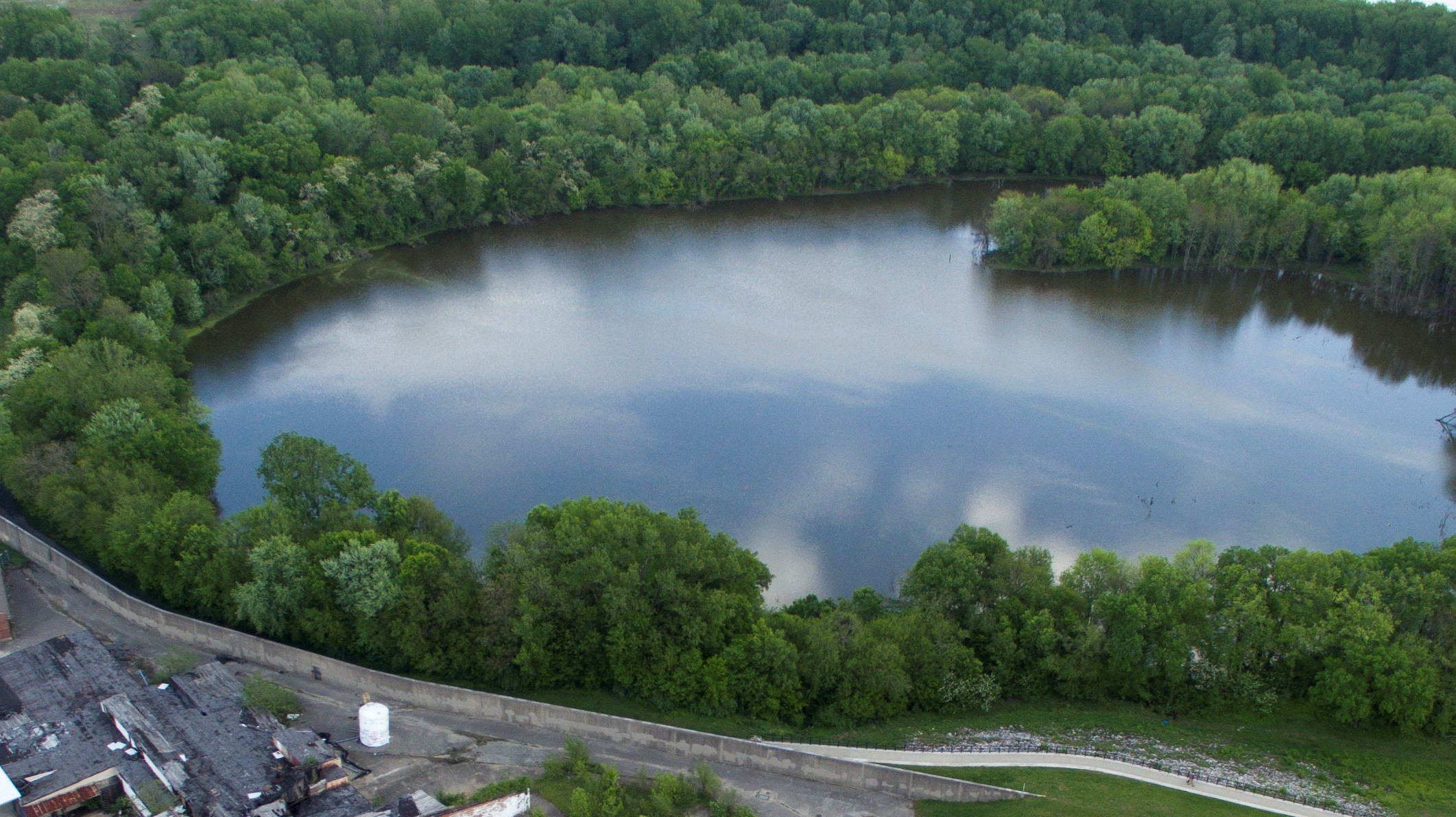 The Loop Island Wetlands.