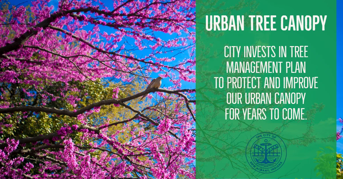 Urban Tree Canopy.jpg