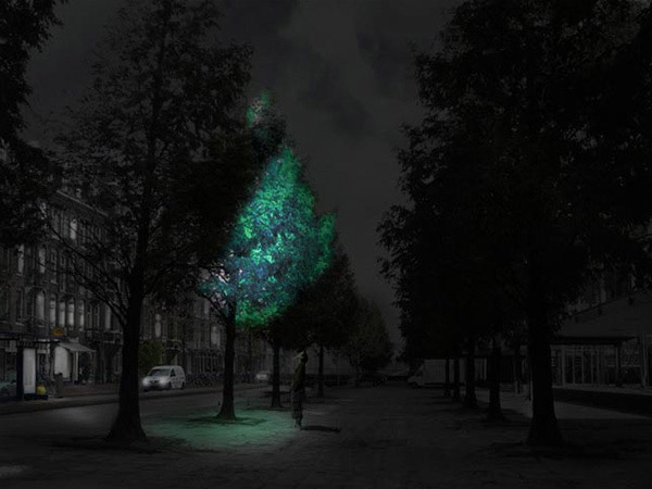 Studio Roosegaarde's visualization of a light-emitting tree with a bio-luminescent coating, as seen on Dezeen.com .