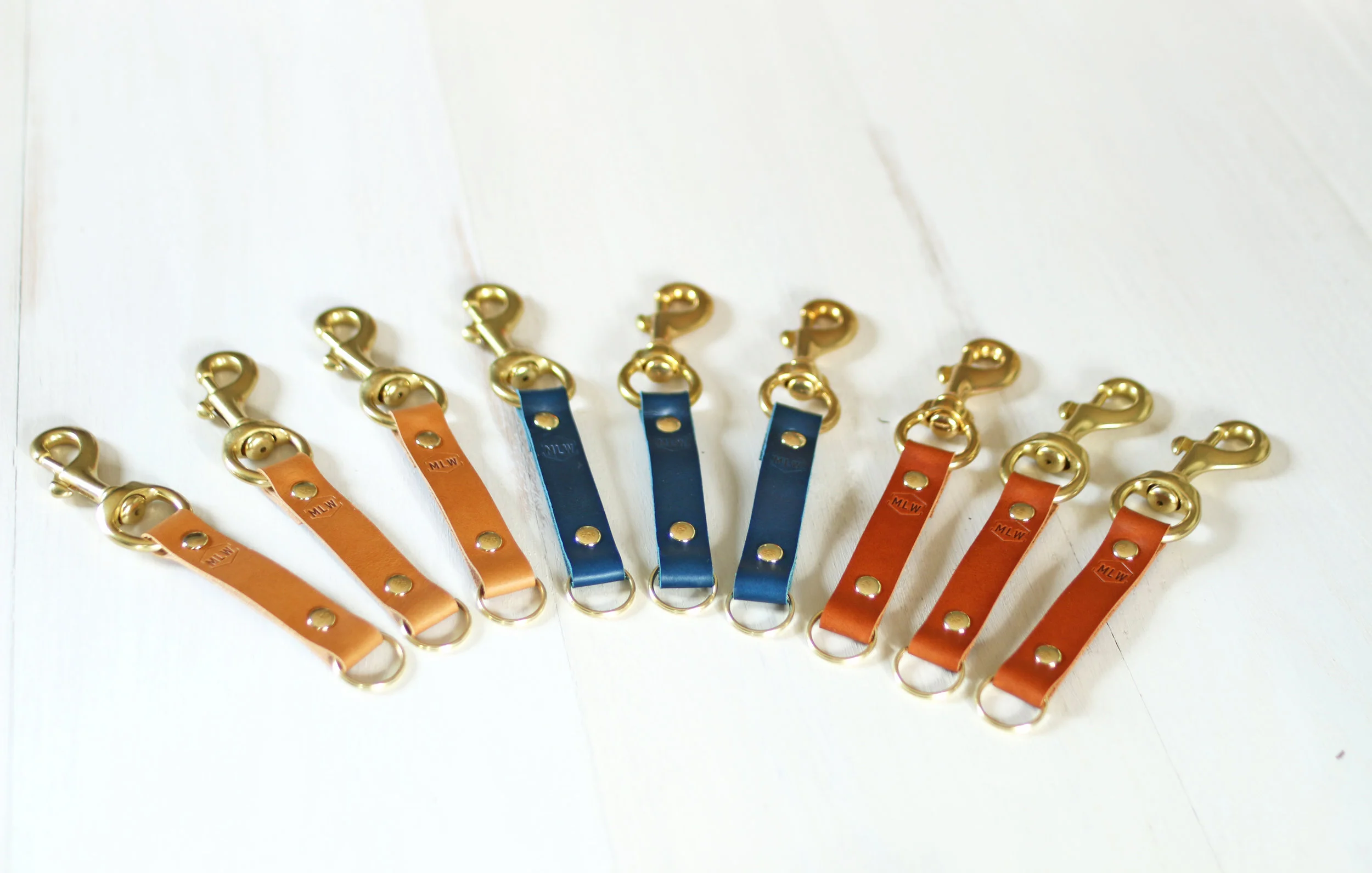 angled top shot group photo large key fobs.jpg