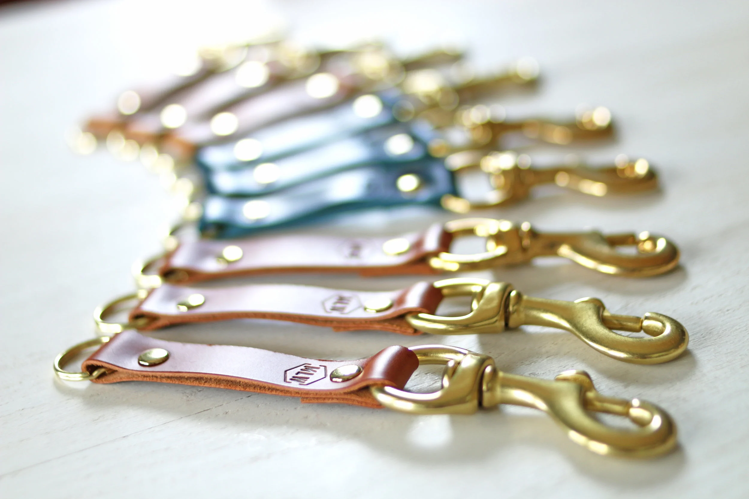 Side View Group Shot large key fobs.jpg