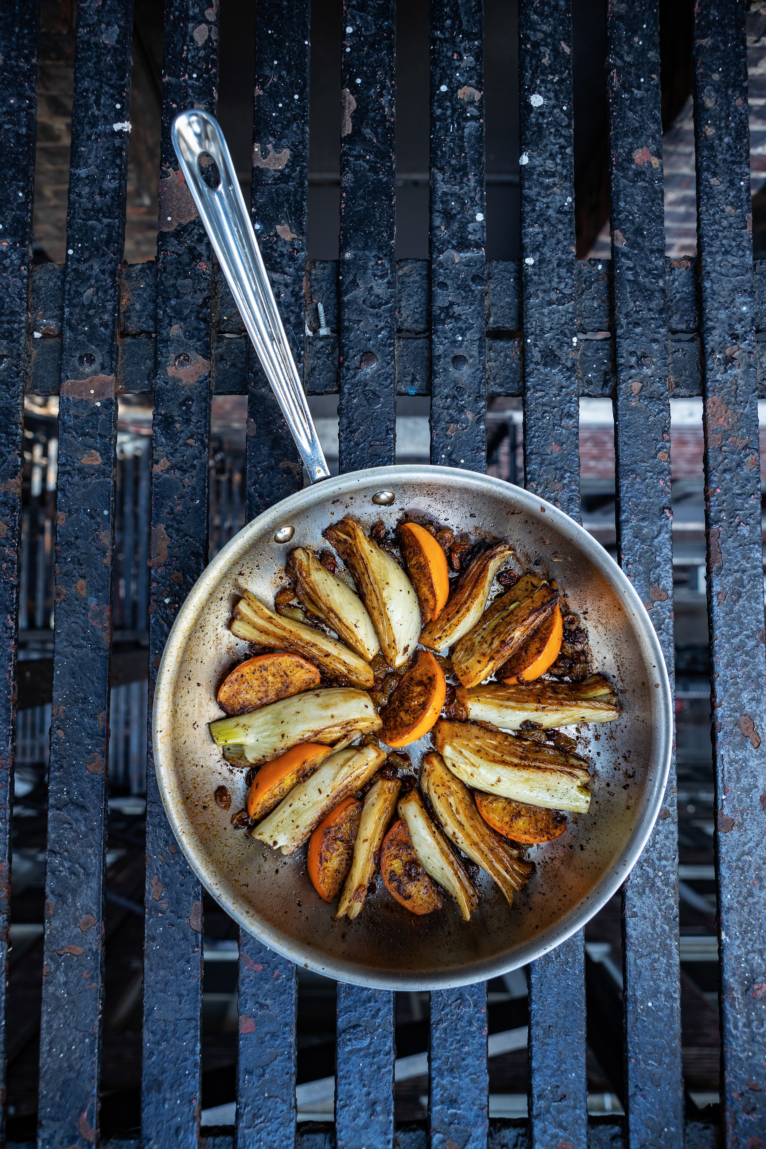 2018_LiorBook_RoastedFennel_0440_a.jpg