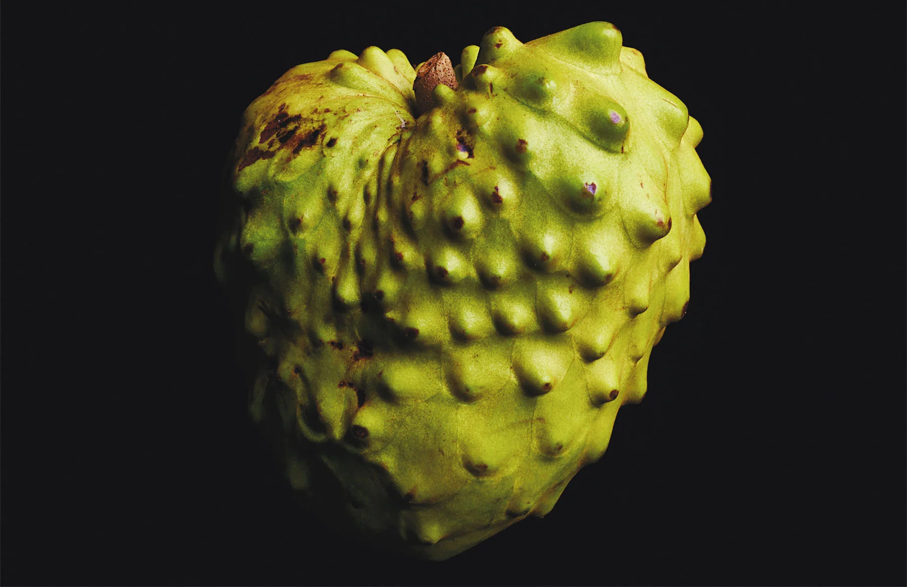 017n_Food.jpg